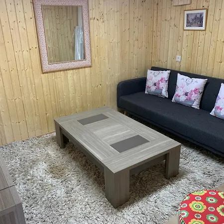 Near Airport And Palexpo 公寓 日内瓦